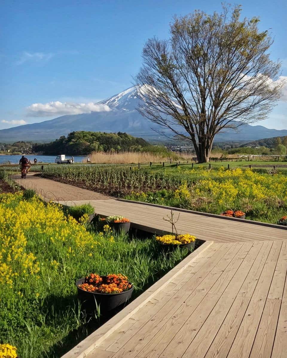 Fuji Five Lakes region Fuji Five Lakes region