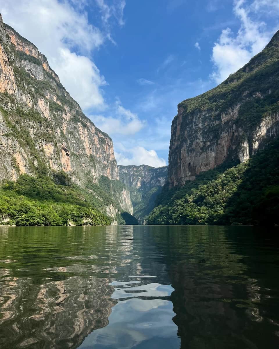 Mexican jungle Mexican jungle