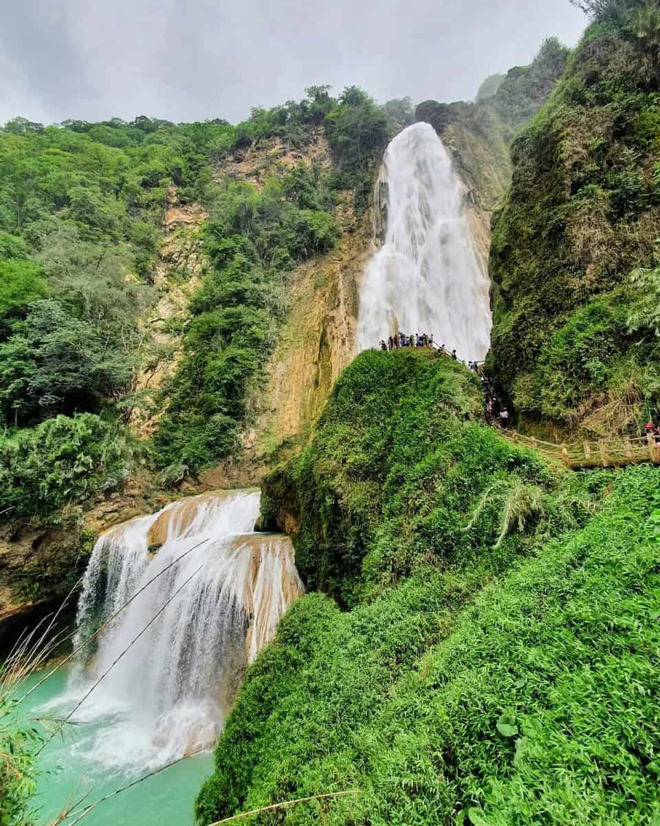 Mexican jungle Mexican jungle