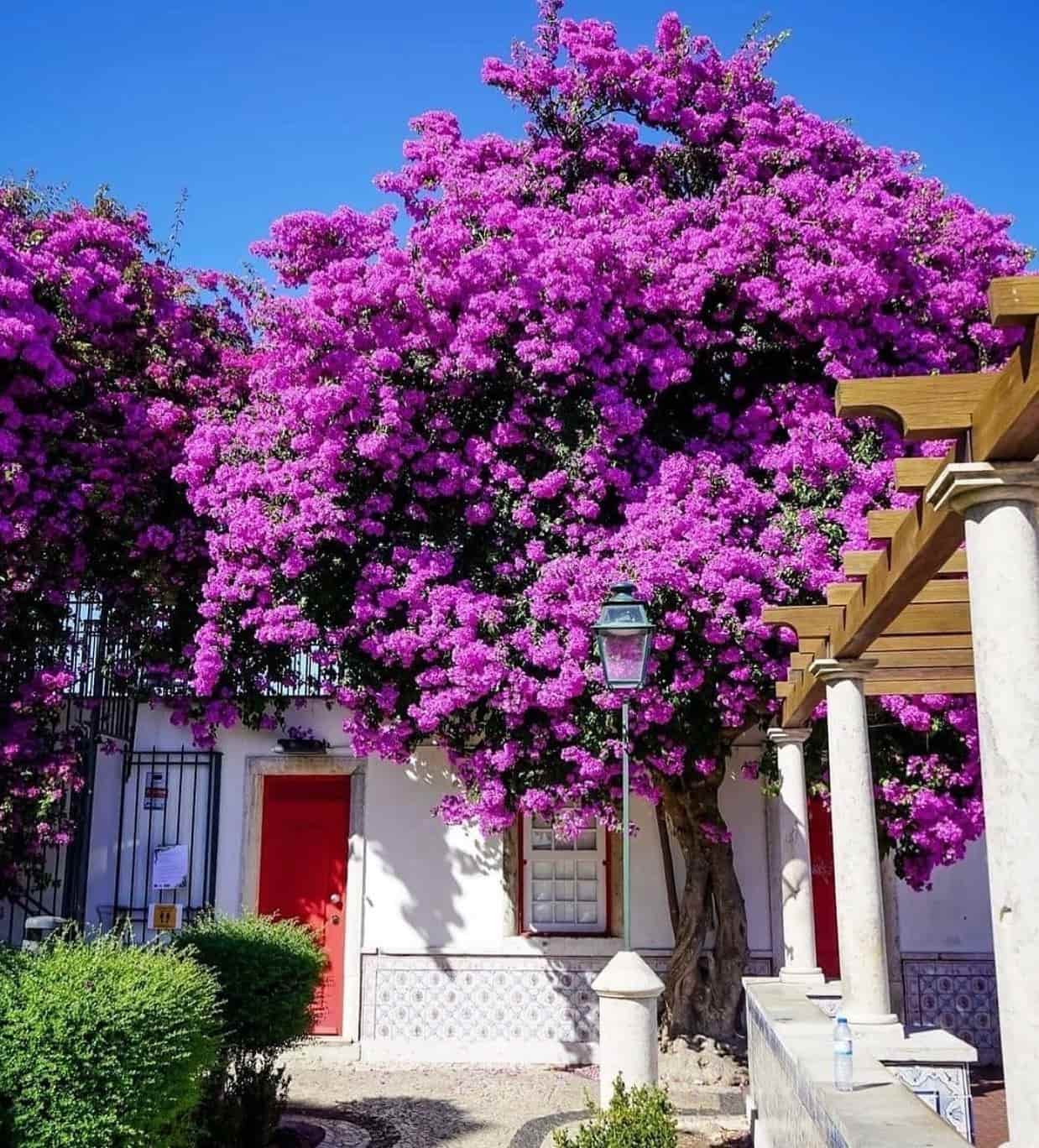 Miradouro de Santa Luzia, Portugal Miradouro de Santa Luzia, Portugal