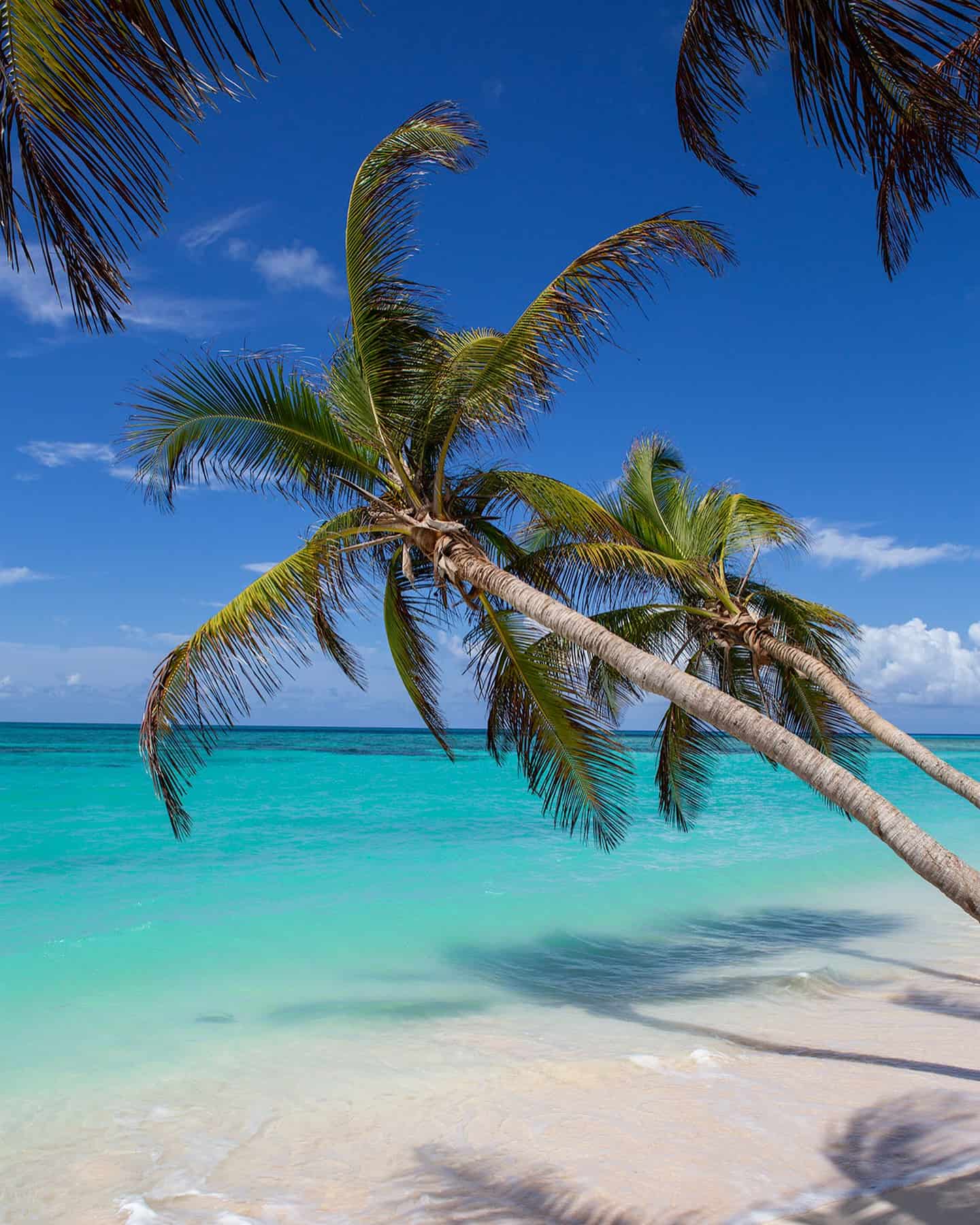 Month by Month Guide, Bahamas Month by Month Guide, Bahamas