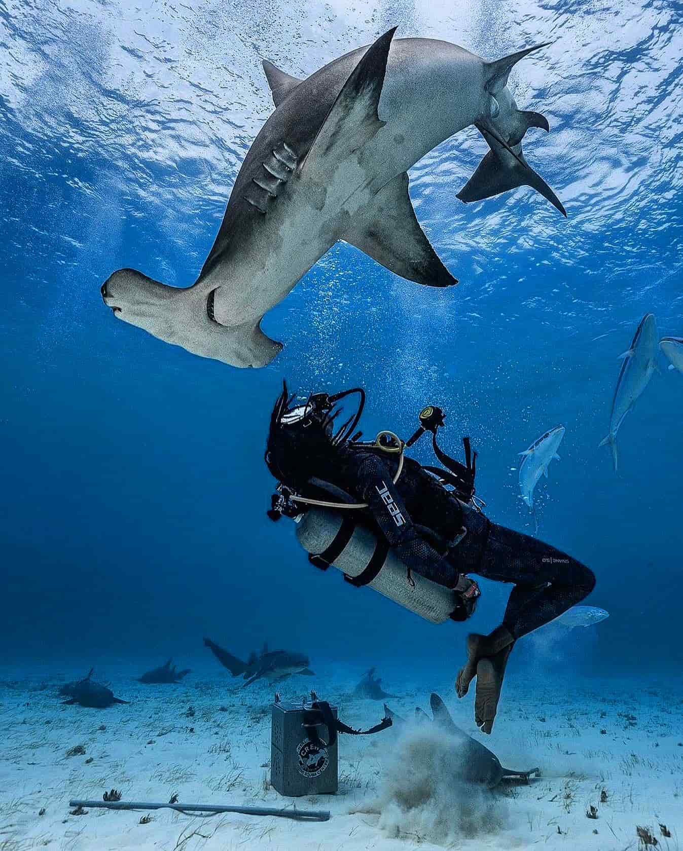 Month by Month Guide, Bahamas Month by Month Guide, Bahamas