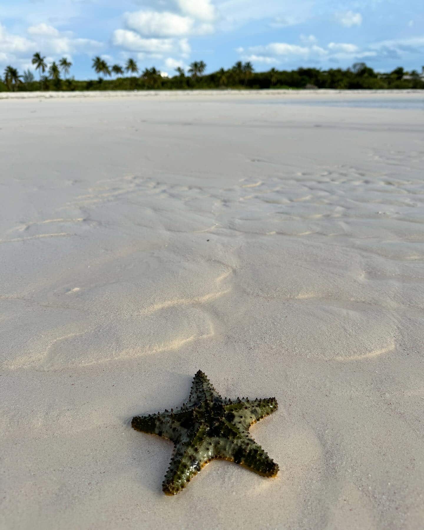 Month by Month Guide, Bahamas Month by Month Guide, Bahamas