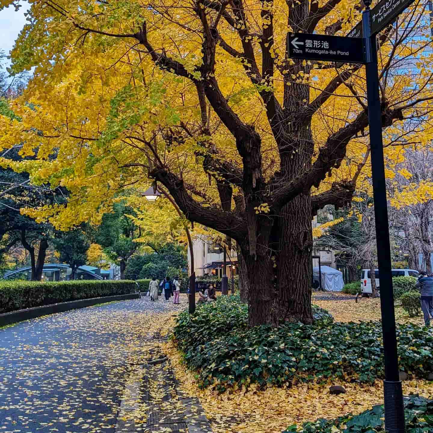 Rikugien Garden, Tokyo Rikugien Garden, Tokyo
