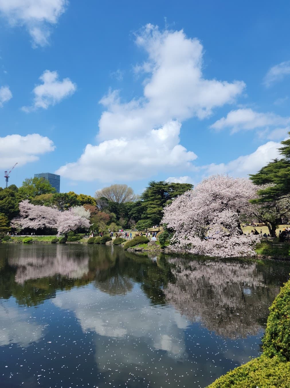 Shinjuku Gyoen, Tokyo Shinjuku Gyoen, Tokyo