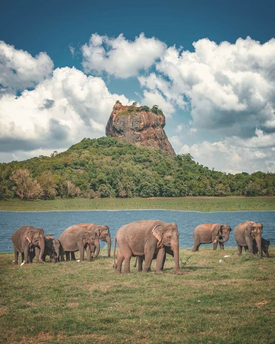 Sigiriya Rock Fortress, Sri Lanka Sigiriya Rock Fortress, Sri Lanka
