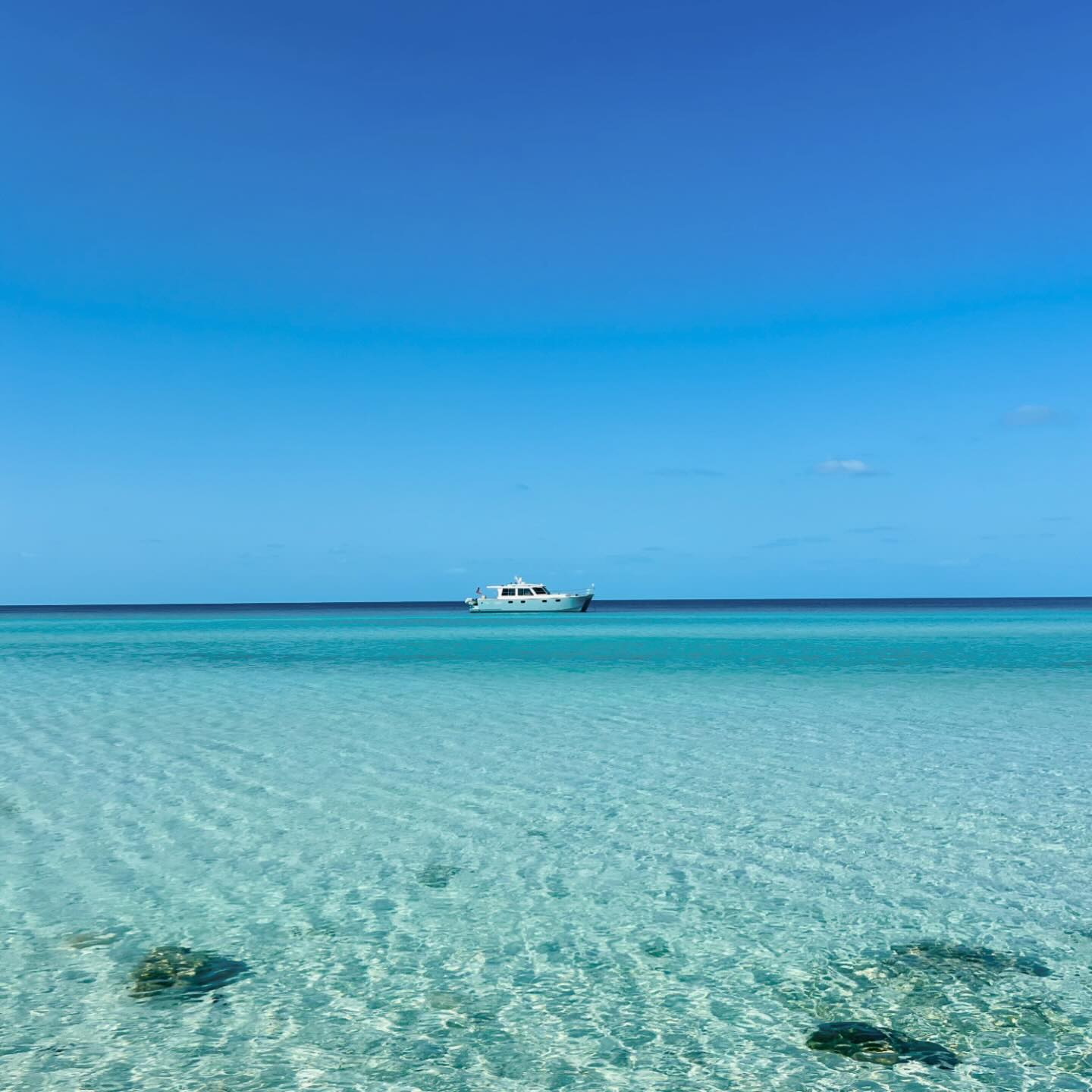 Spring Season, Bahamas Spring Season, Bahamas