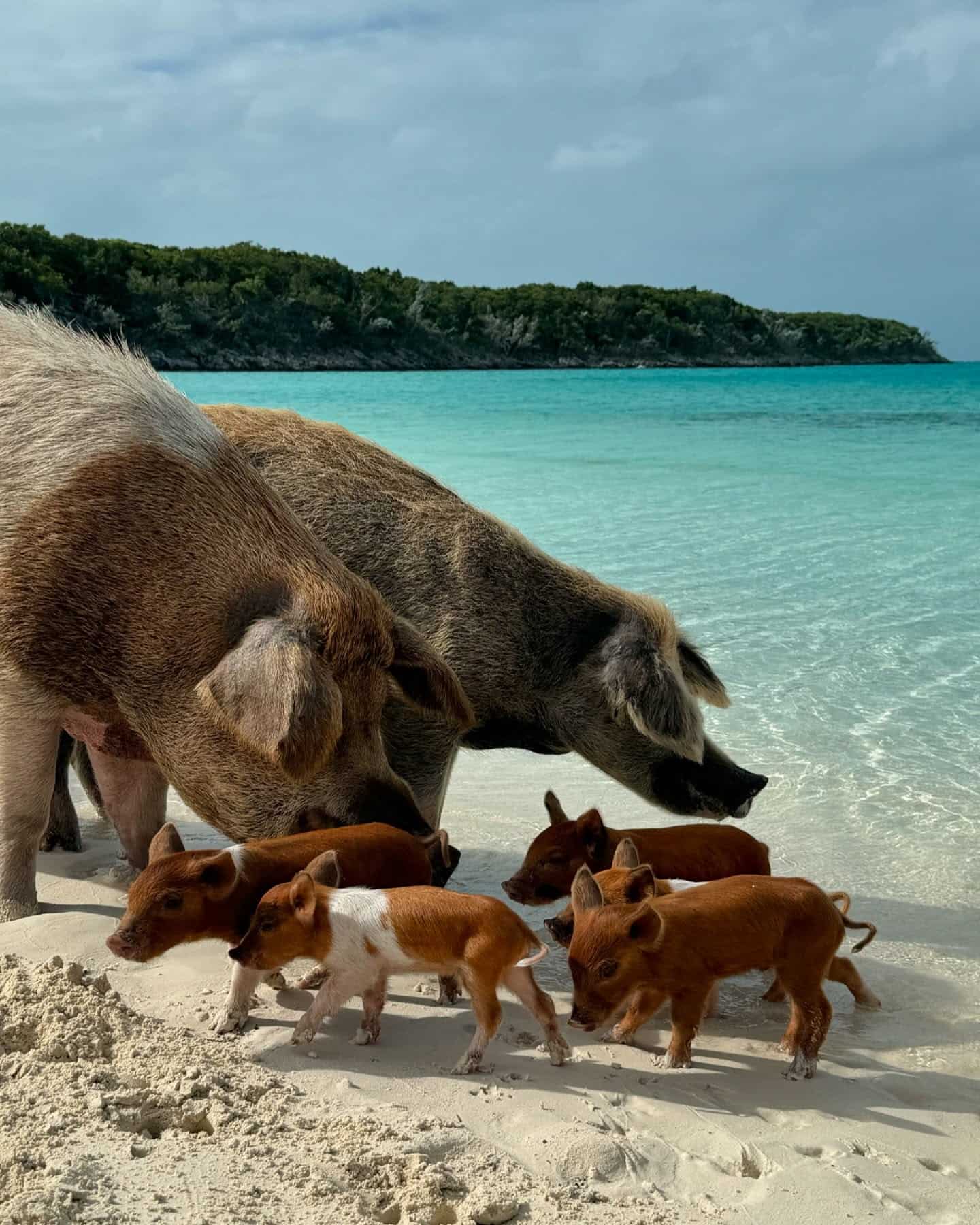 Summer Season, Bahamas Summer Season, Bahamas