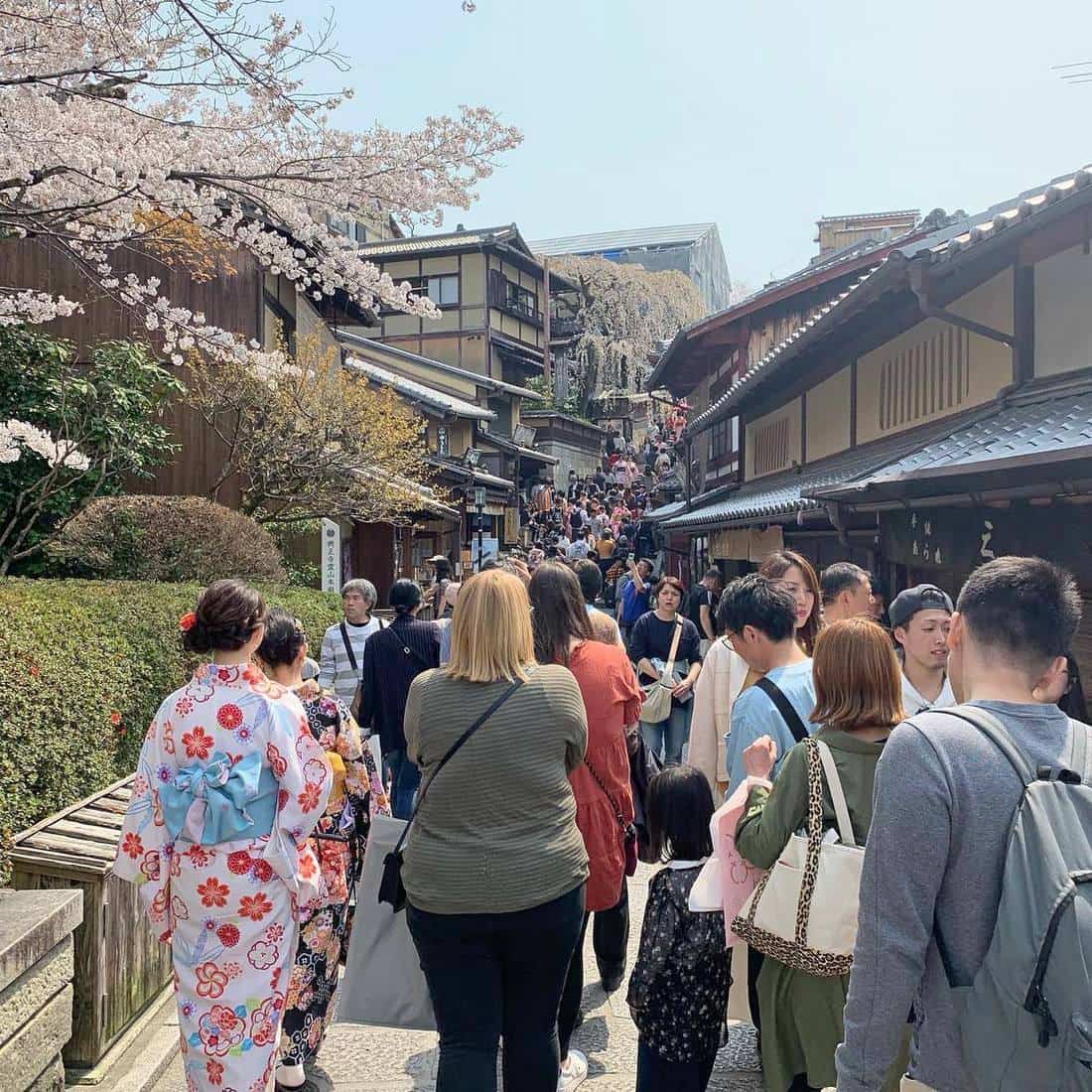 Tofuku-ji Temple, Kyoto Tofuku-ji Temple, Kyoto