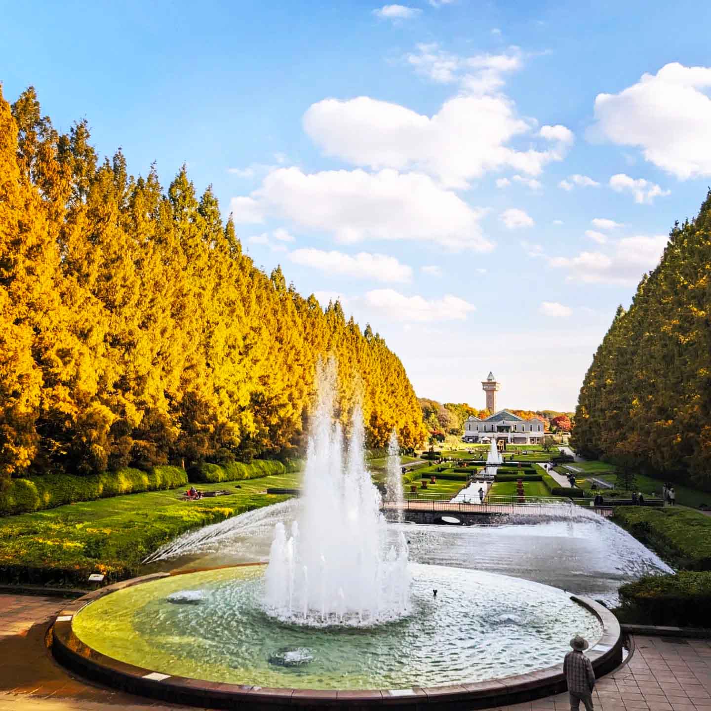 Tokyo, Japan Autumn Tokyo, Japan Autumn