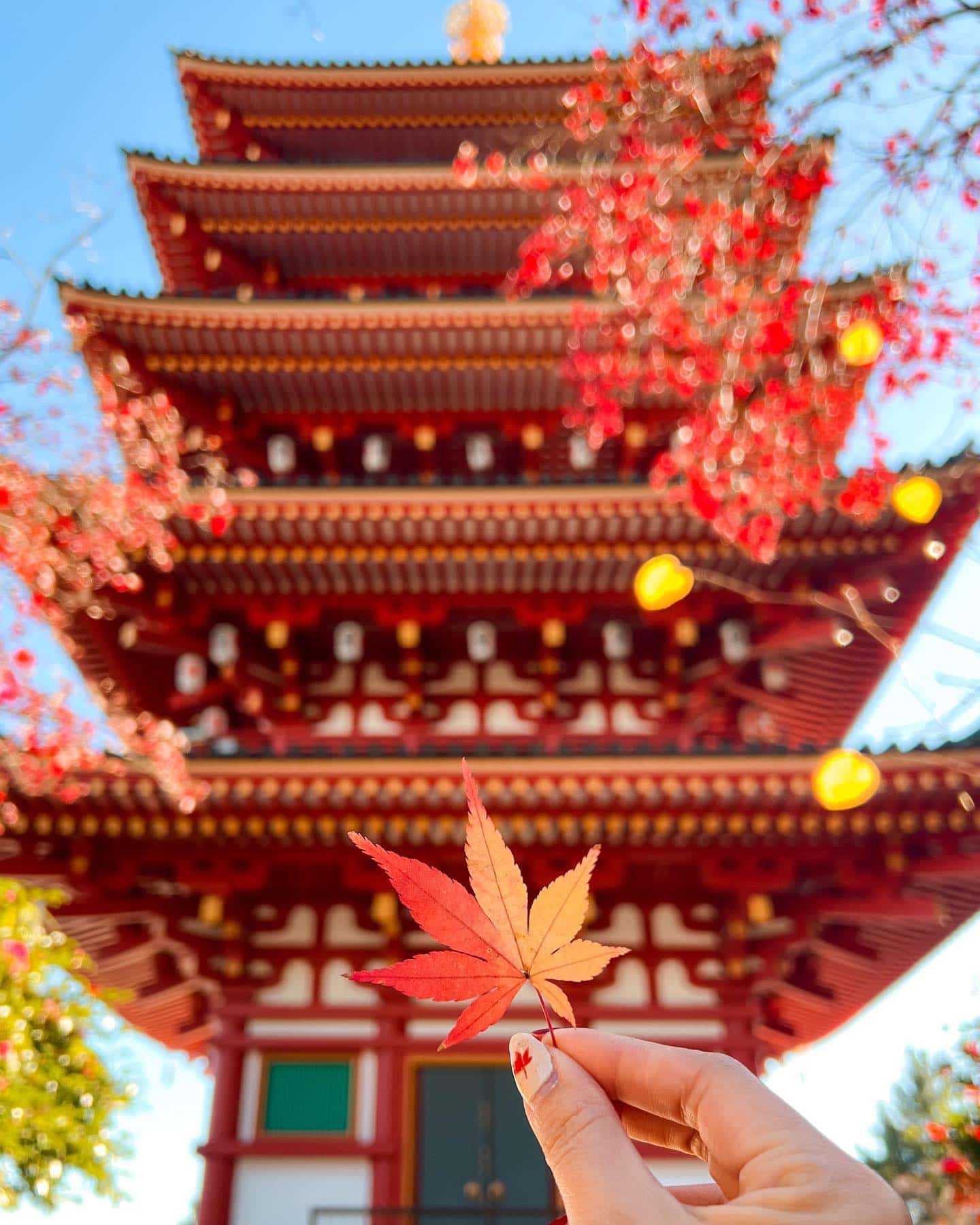 Tokyo, Japan Autumn Tokyo, Japan Autumn