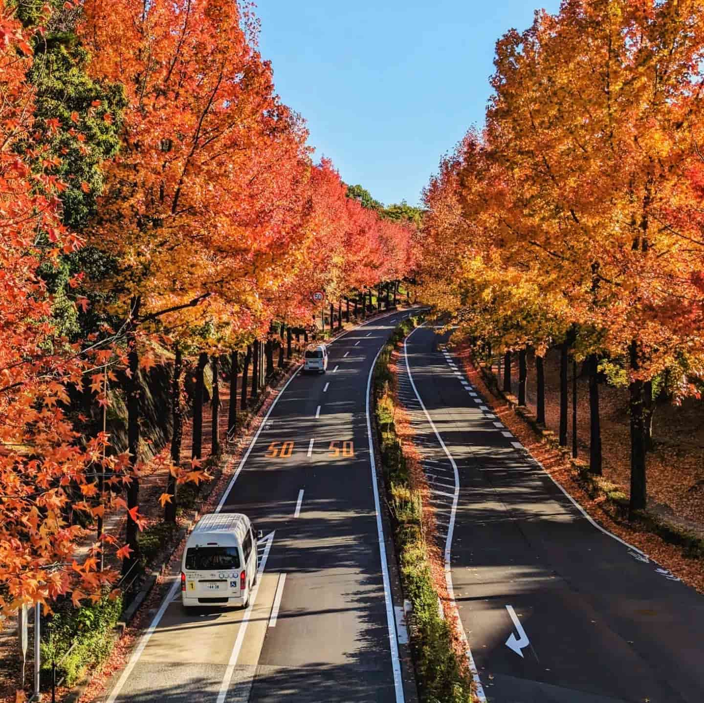 Tokyo, Japan Autumn Tokyo, Japan Autumn