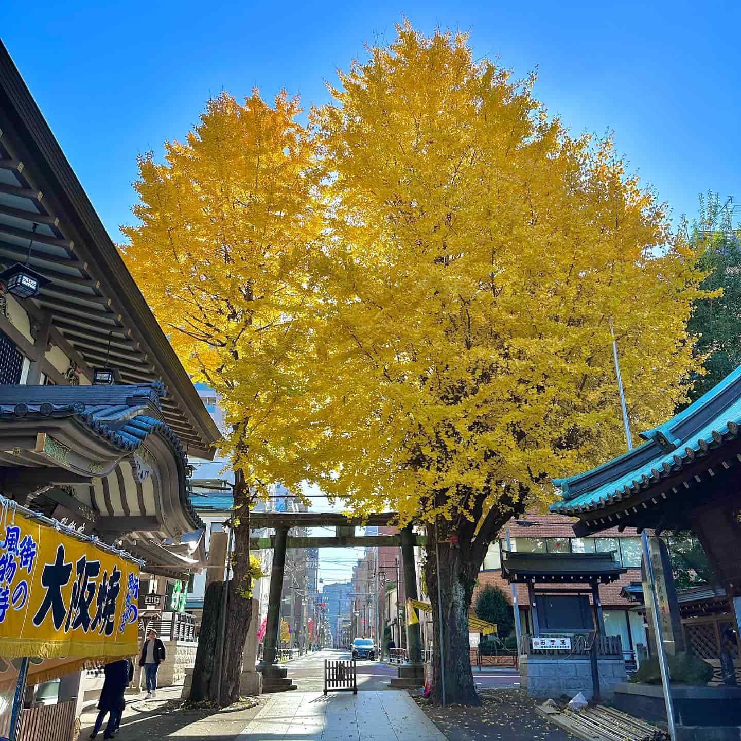 Tokyo, Japan Autumn Tokyo, Japan Autumn