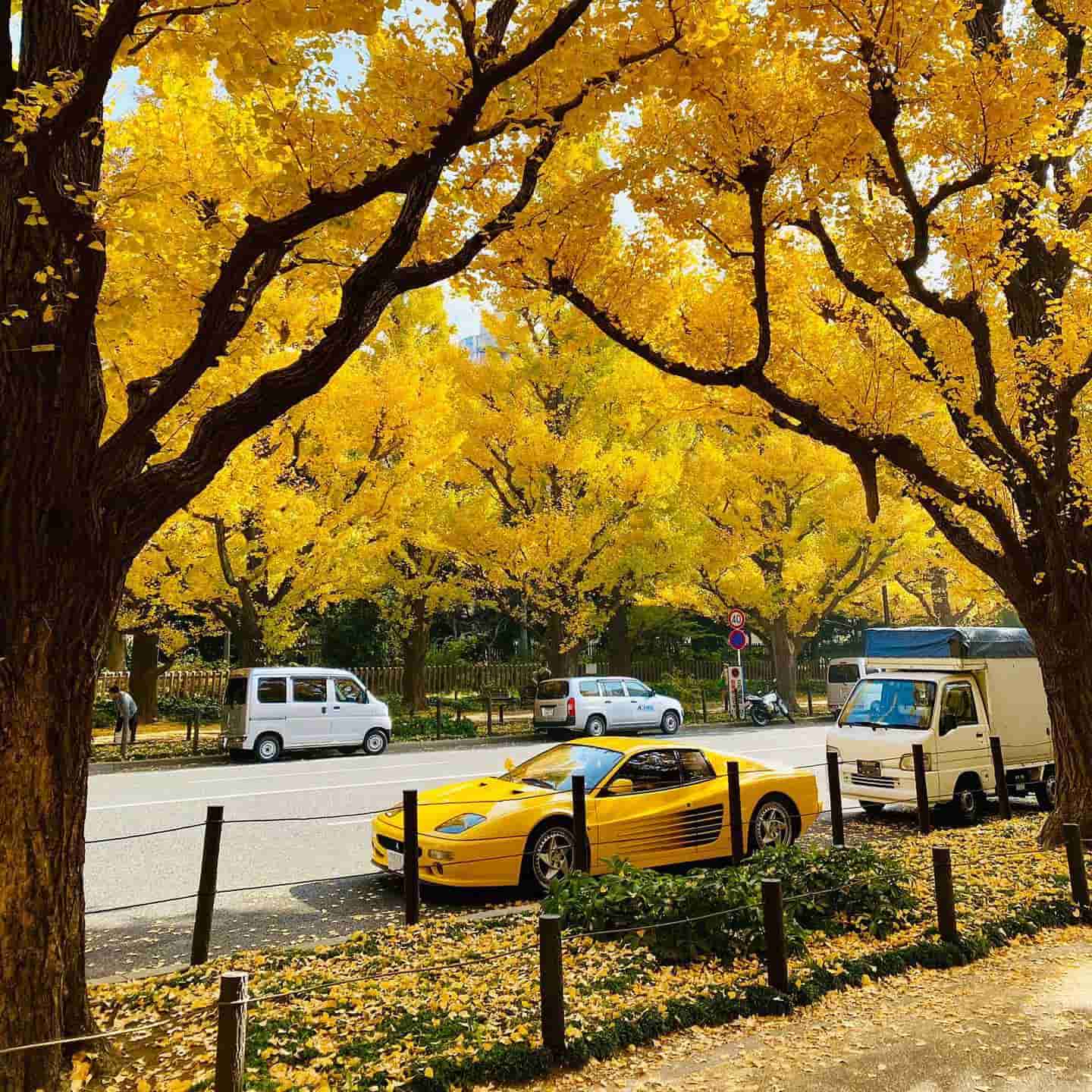 Tokyo, Japan Autumn Tokyo, Japan Autumn