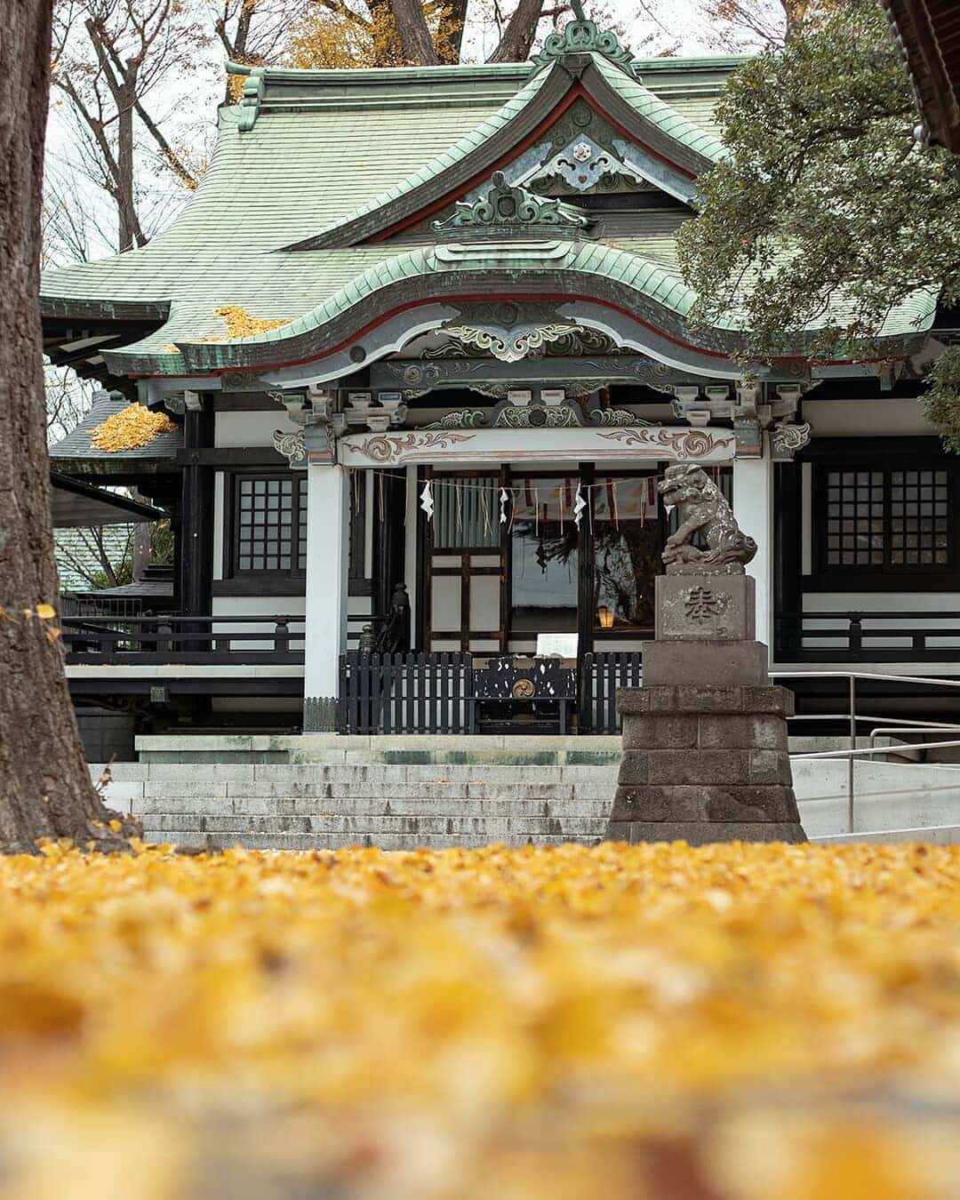 Tokyo, Japan Autumn Tokyo, Japan Autumn