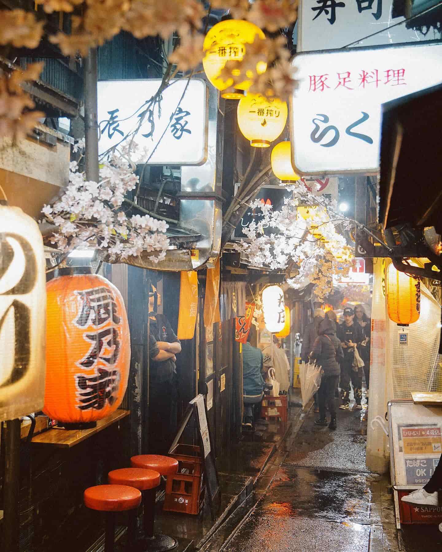 Tour Guide Tokyo, Japan Tour Guide Tokyo, Japan