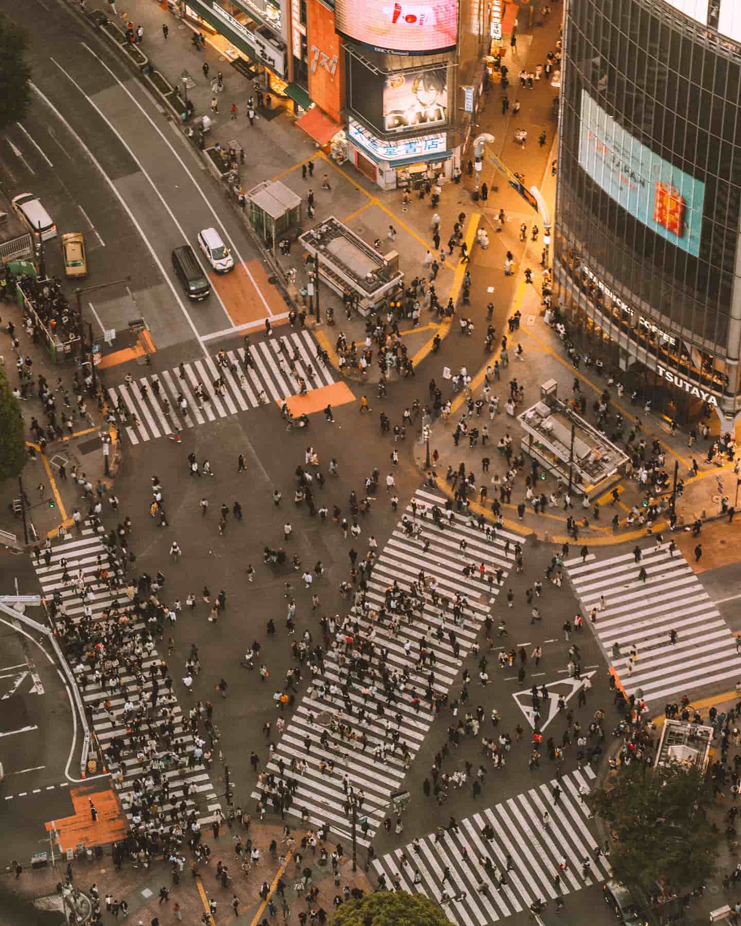 Tour Guide Tokyo, Japan Tour Guide Tokyo, Japan