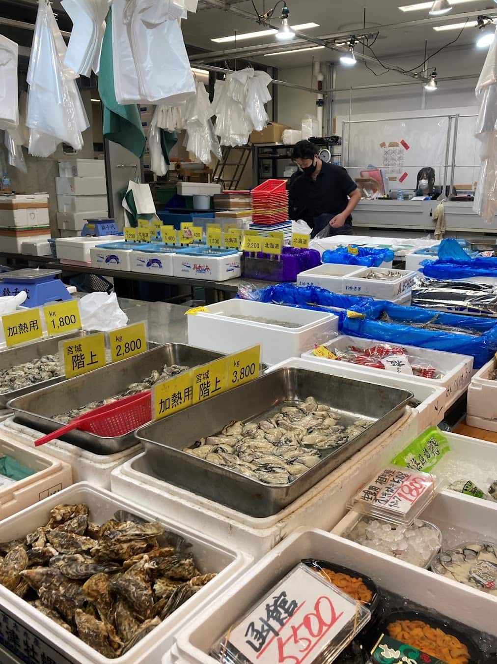 Toyosu Market, Tokyo Toyosu Market, Tokyo