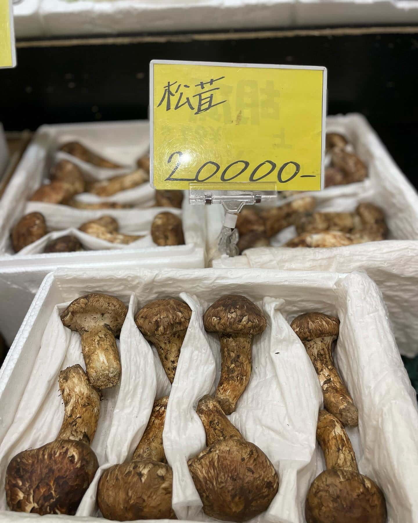 Toyosu Market, Tokyo Toyosu Market, Tokyo