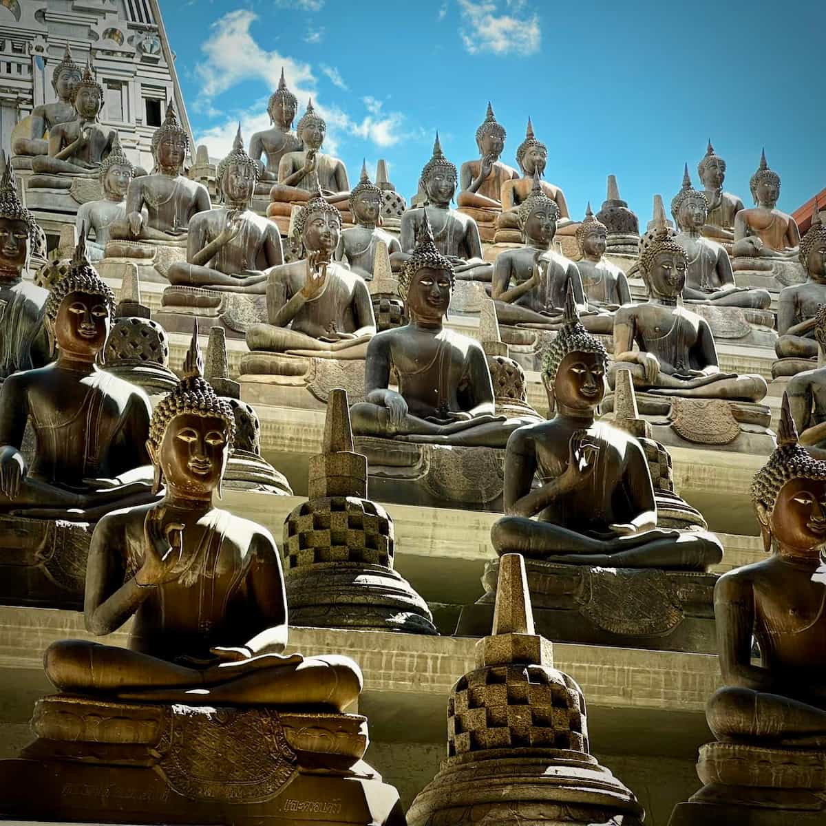 Traveling around Sri Lanka Traveling around Sri Lanka