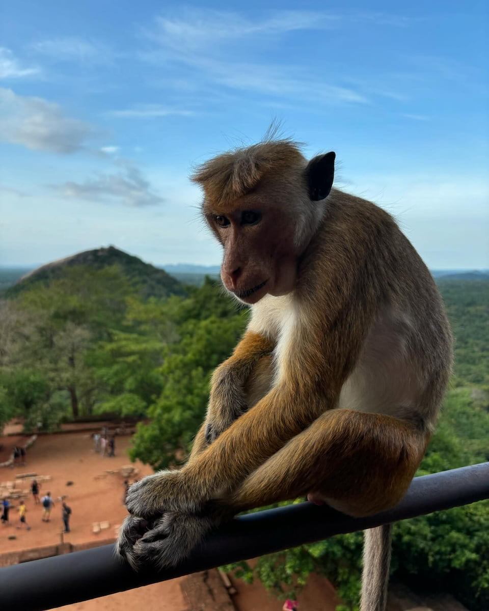 Traveling around Sri Lanka Traveling around Sri Lanka