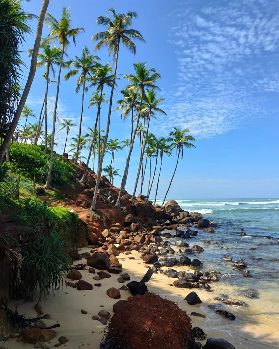 Traveling around Sri Lanka Traveling around Sri Lanka