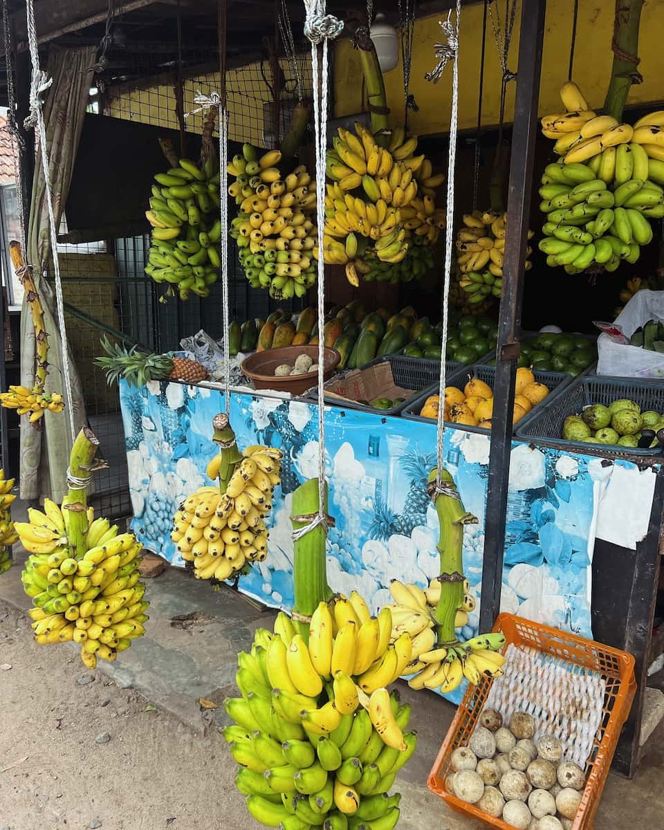 Traveling around Sri Lanka Traveling around Sri Lanka