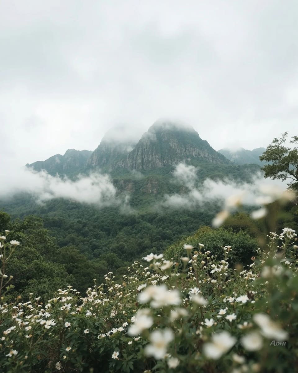 Traveling around Sri Lanka Traveling around Sri Lanka