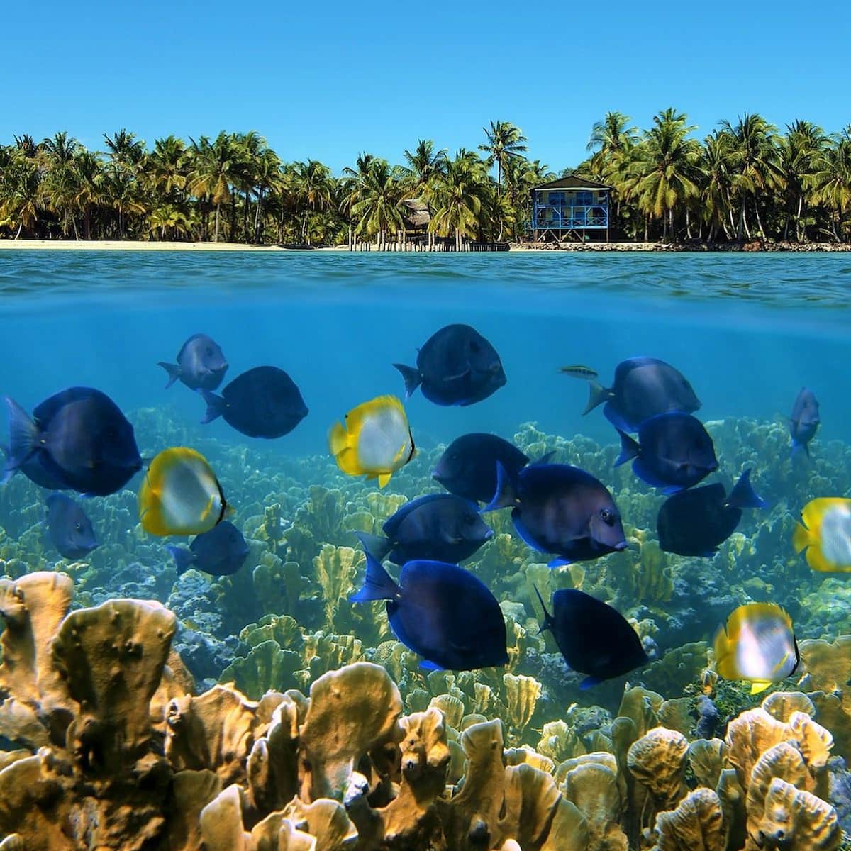 Traveling to Mexico Traveling to Mexico