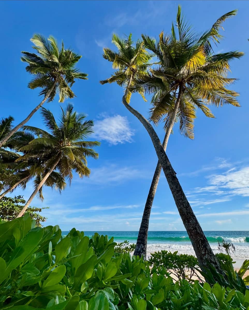 West and South Coast, Sri Lanka West and South Coast, Sri Lanka