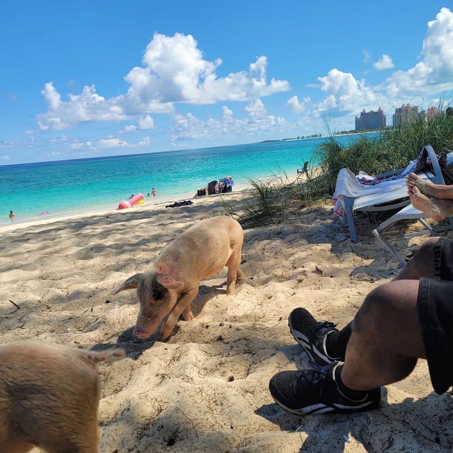 Winter Season, Bahamas Winter Season, Bahamas