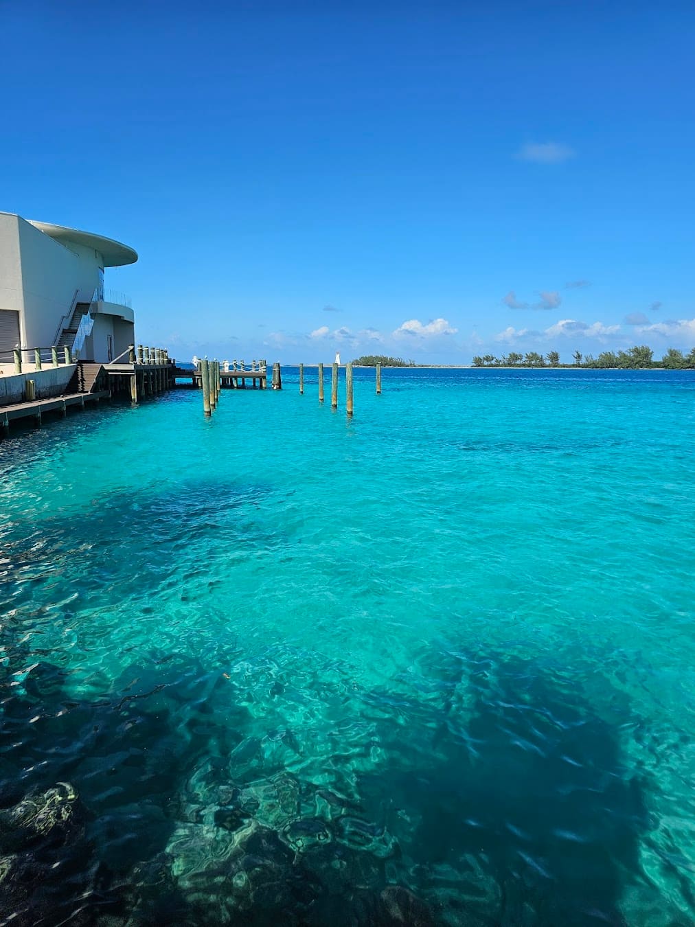 Winter Season, Bahamas Winter Season, Bahamas