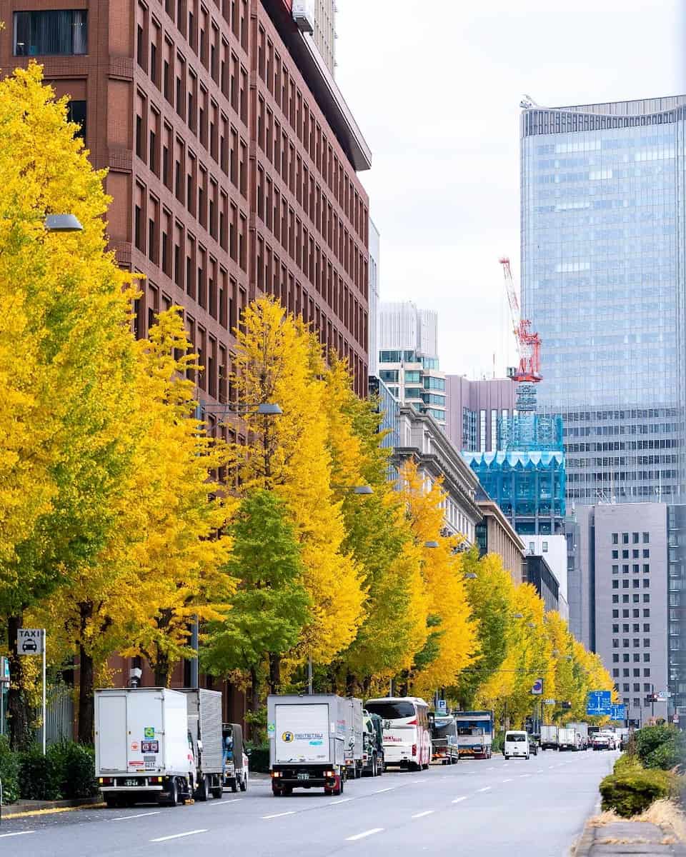 Autumn in Tokyo Autumn in Tokyo