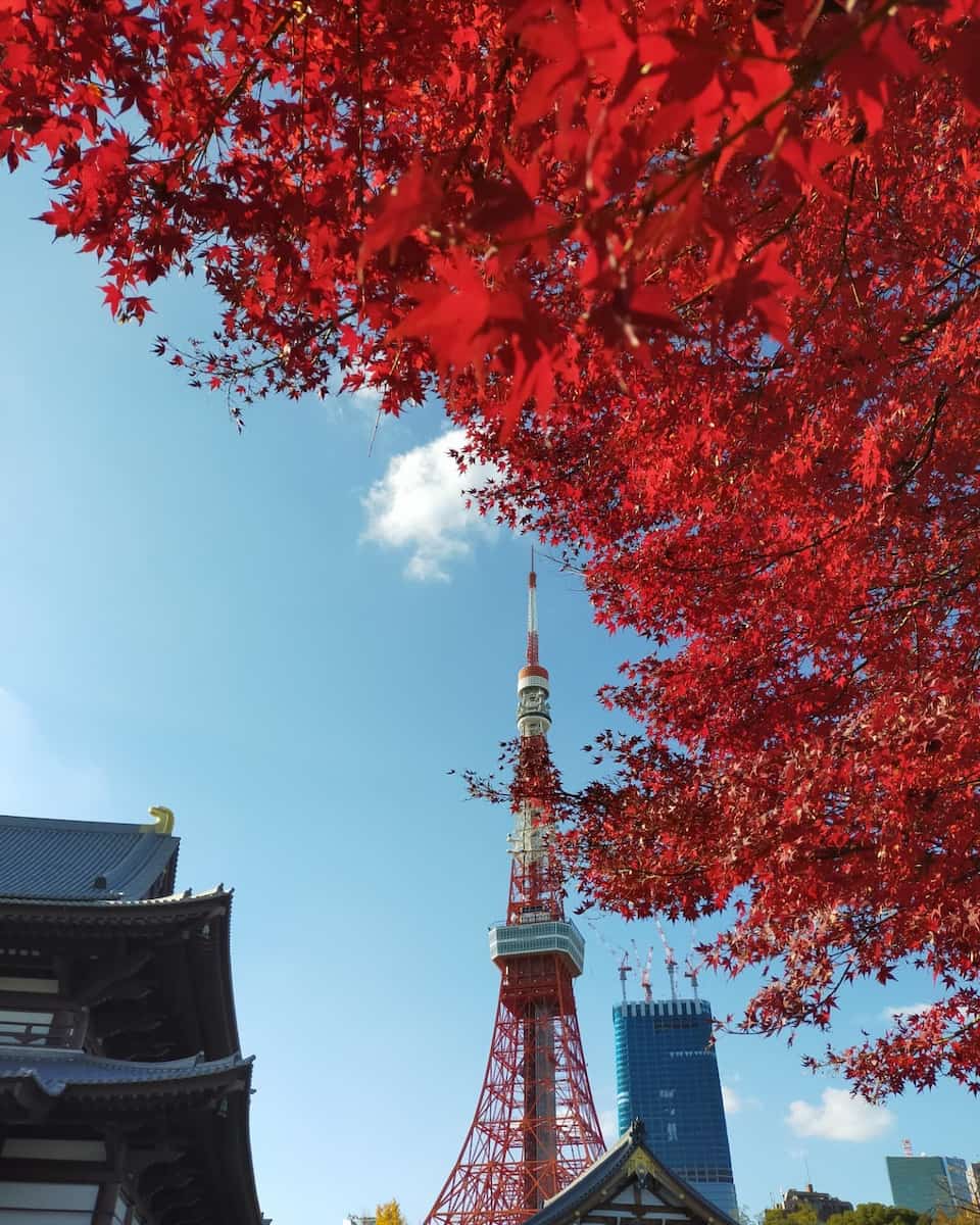 Autumn in Tokyo Autumn in Tokyo