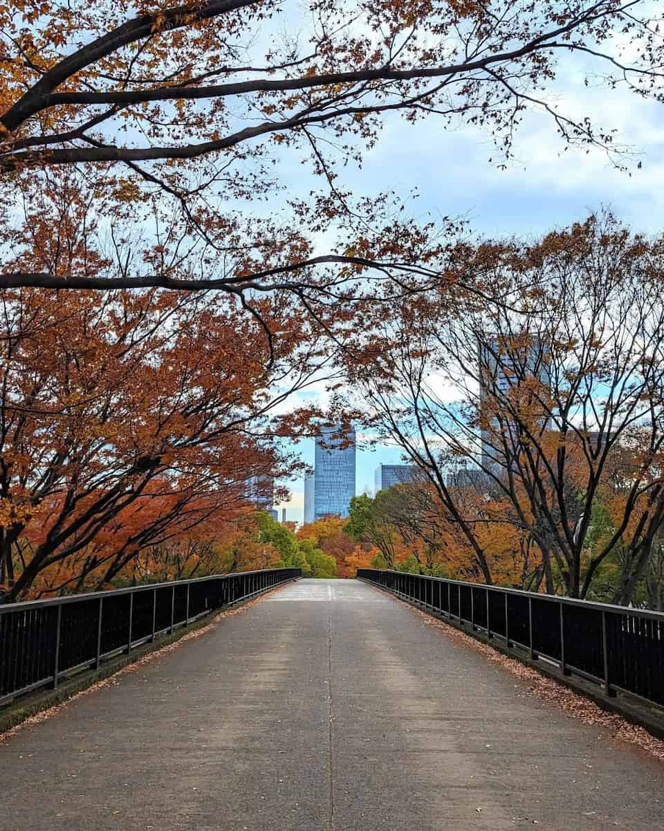 Autumn in Tokyo Autumn in Tokyo