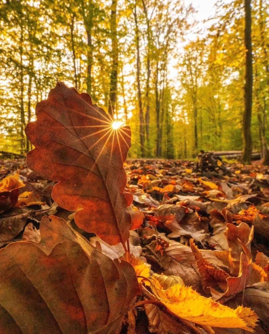 Autumn awakening Glacier National Park, USA Autumn awakening Glacier National Park, USA
