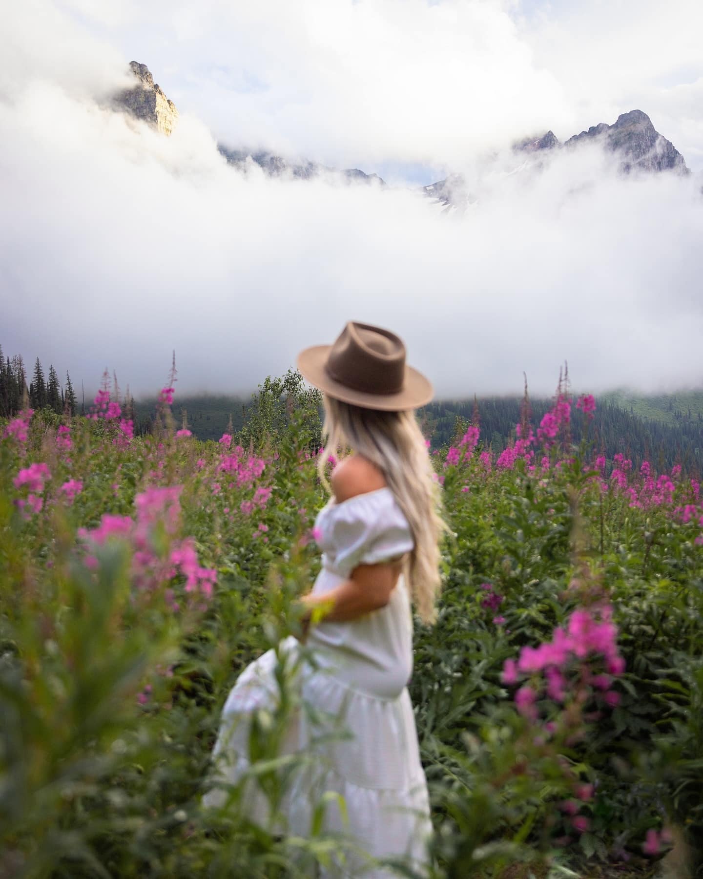 Glacier National Park Summer, USA Glacier National Park Summer, USA