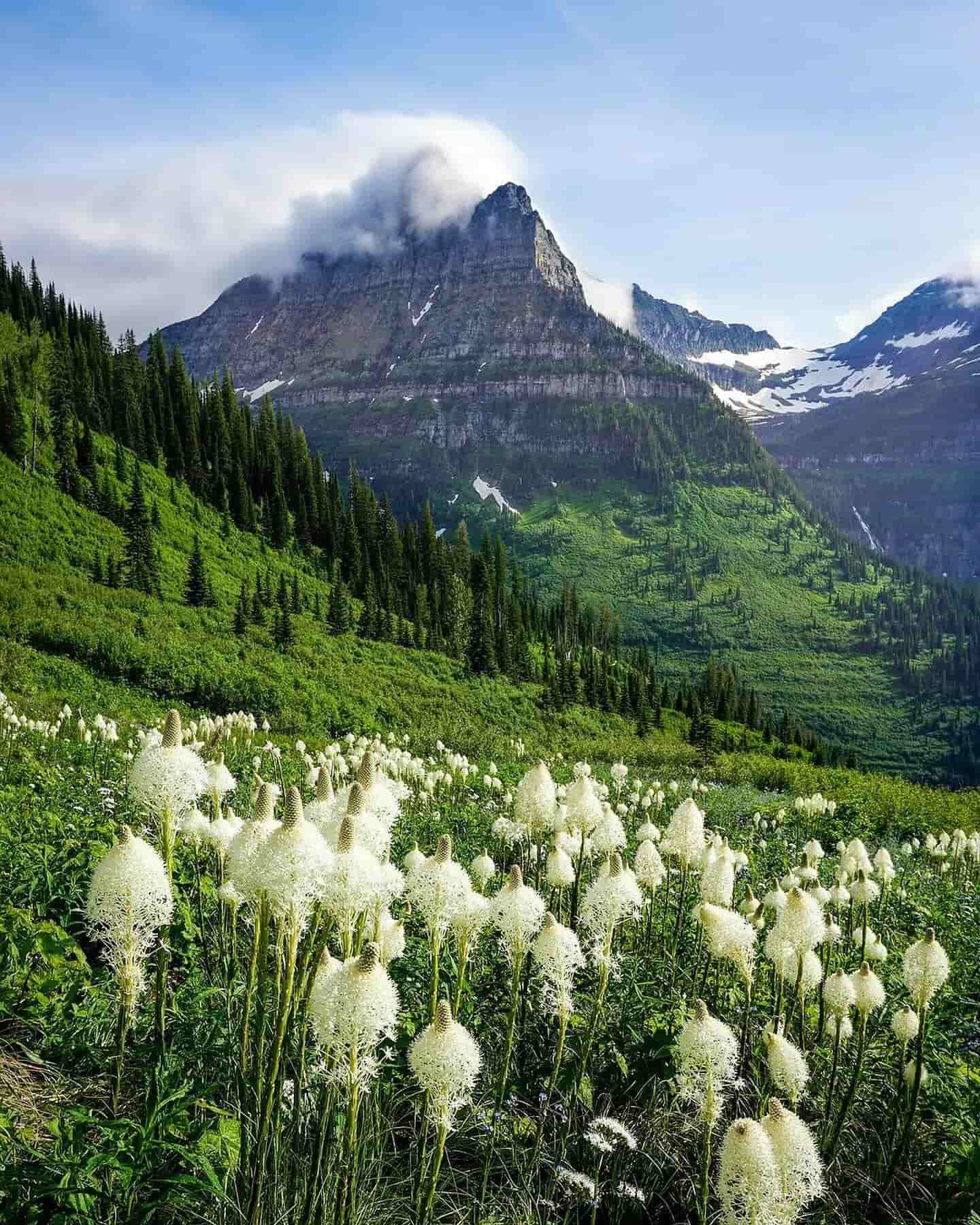 Glacier National Park, USA Glacier National Park, USA