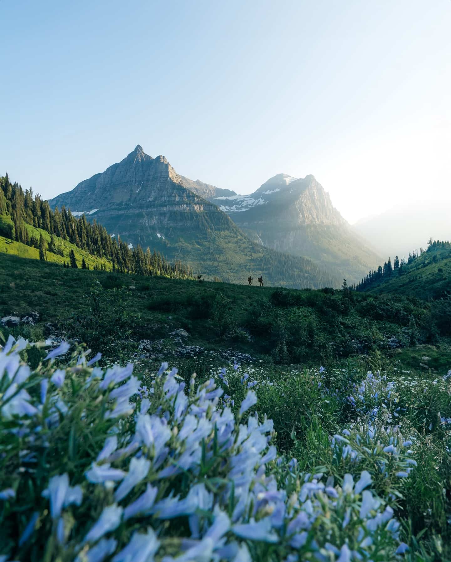 Glacier National Park, USA Glacier National Park, USA