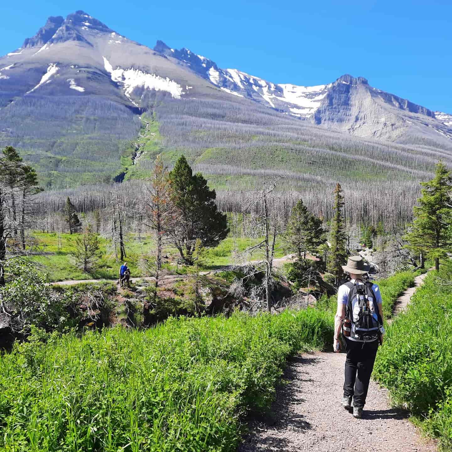 Glacier and Canadian Rockies, USA Glacier and Canadian Rockies, USA