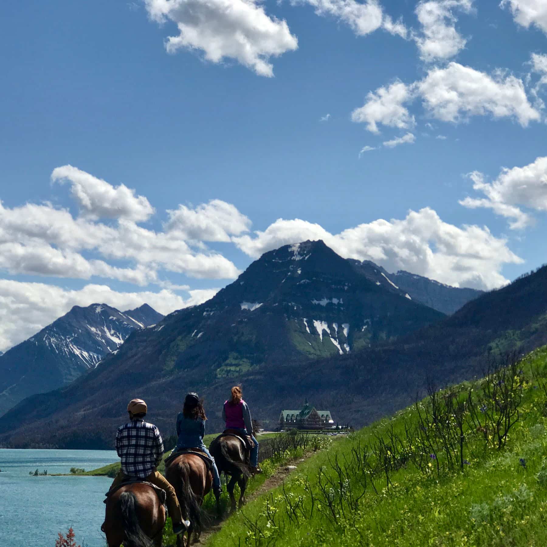 Glacier and Canadian Rockies, USA Glacier and Canadian Rockies, USA