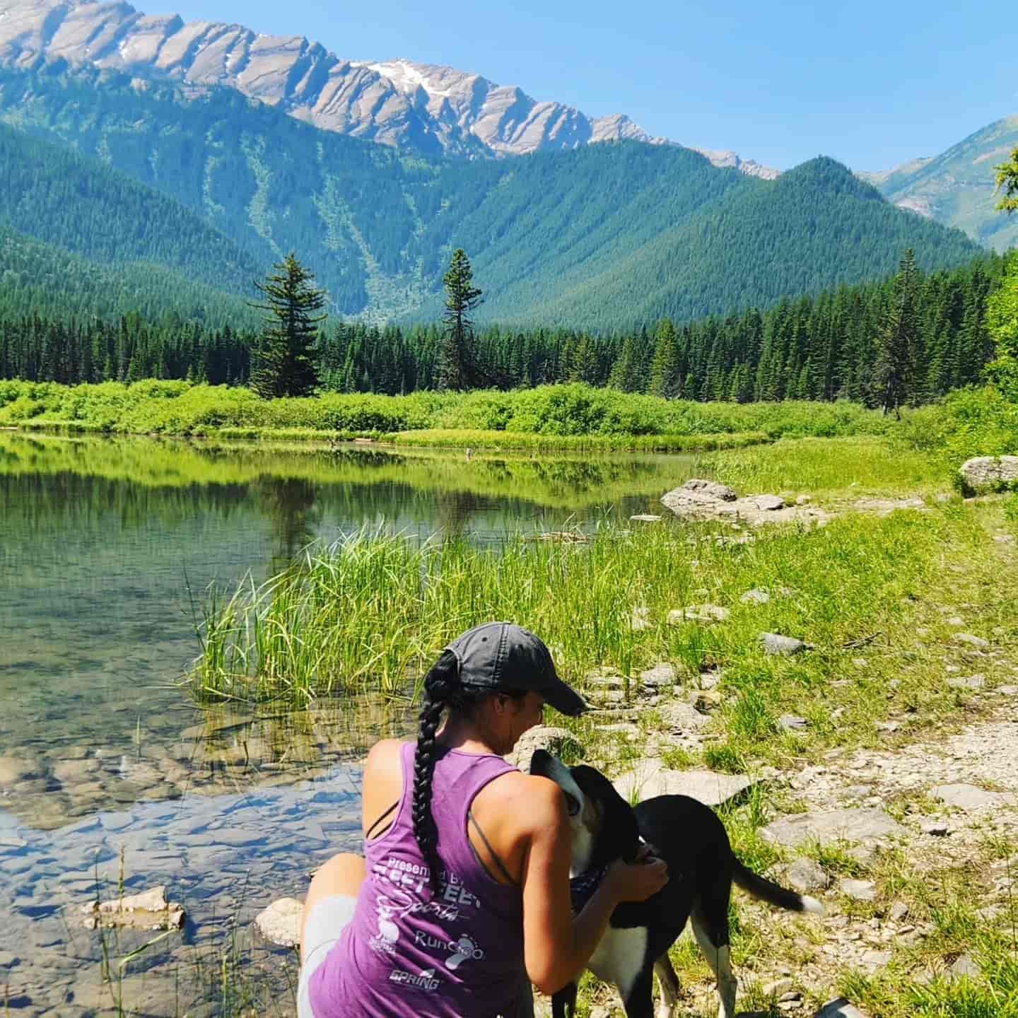Logan Pass Avoiding Crowds, USA Logan Pass Avoiding Crowds, USA