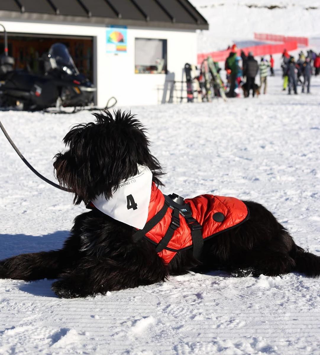 New Zealand New Zealand