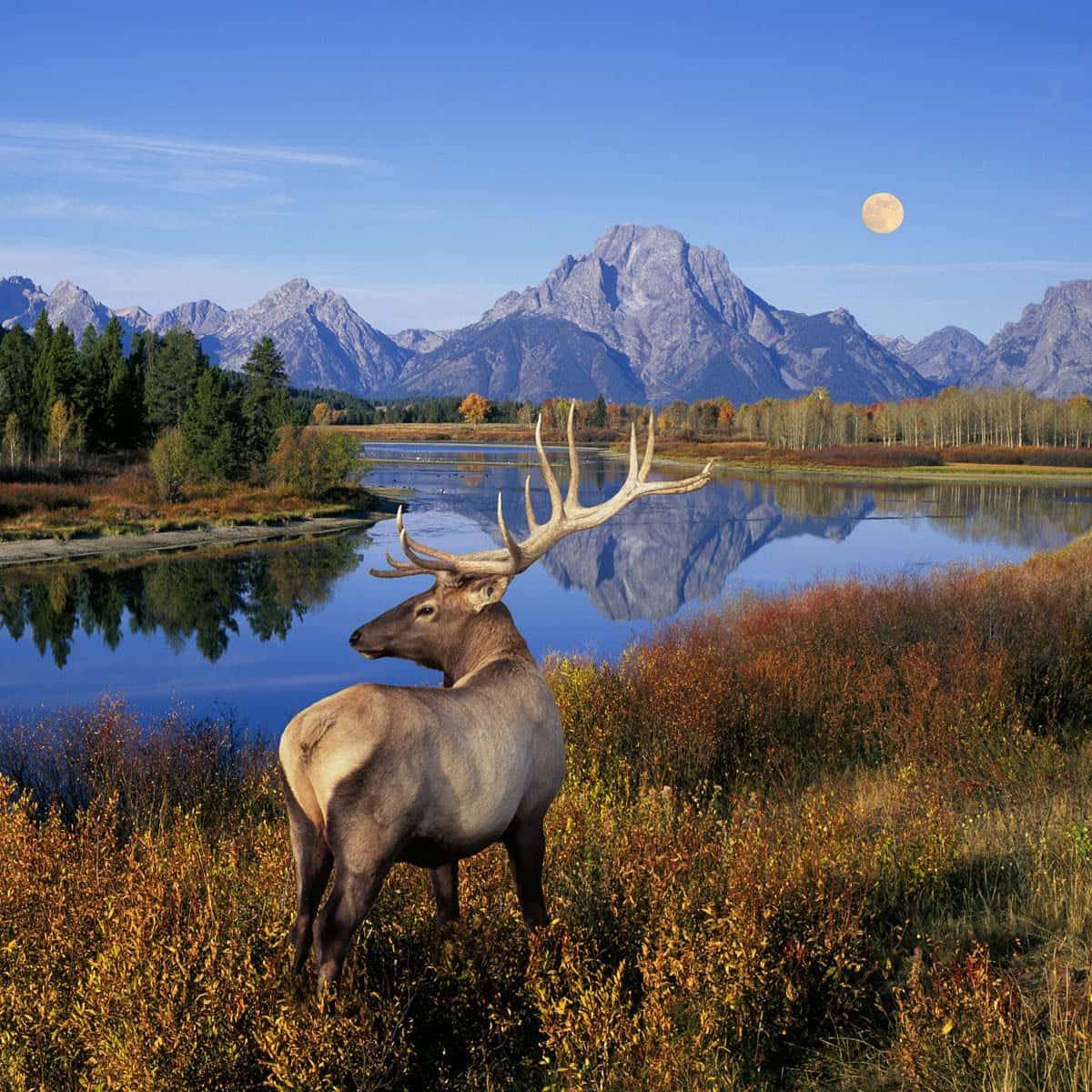 Park with Yellowstone, Glacier, USA Park with Yellowstone, Glacier, USA