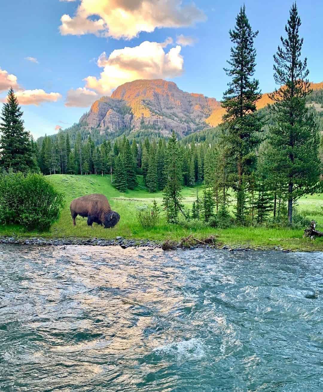 Park with Yellowstone, Glacier, USA Park with Yellowstone, Glacier, USA