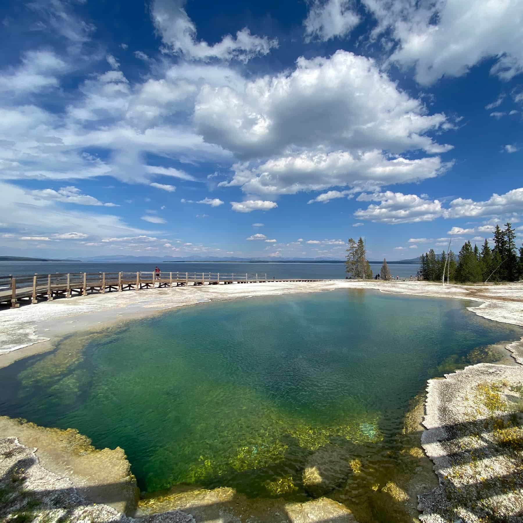 Park with Yellowstone Glacier, USA Park with Yellowstone Glacier, USA