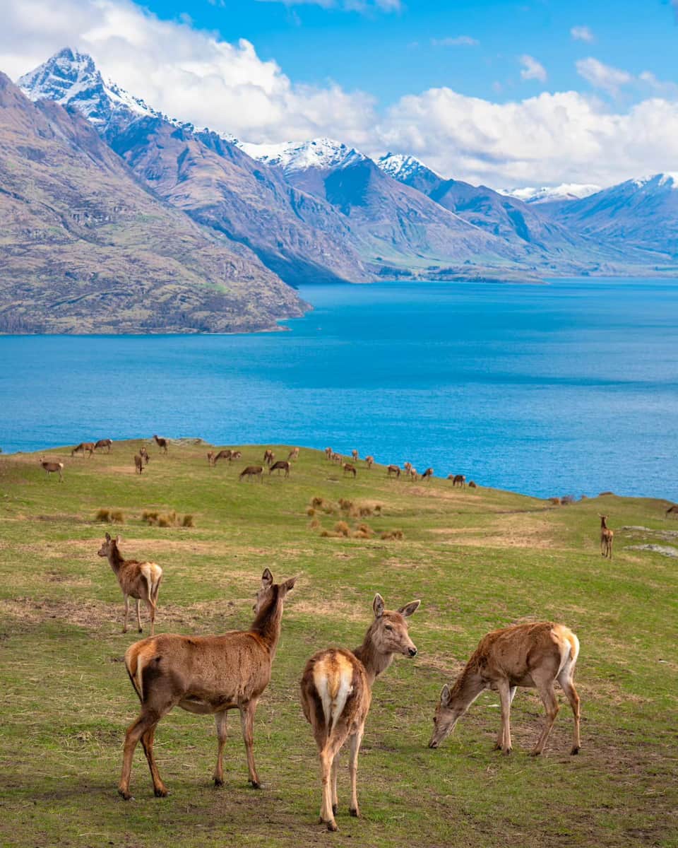 South Island, New Zealand South Island, New Zealand