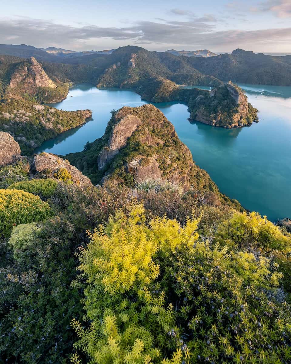 Spring in New Zealand Spring in New Zealand