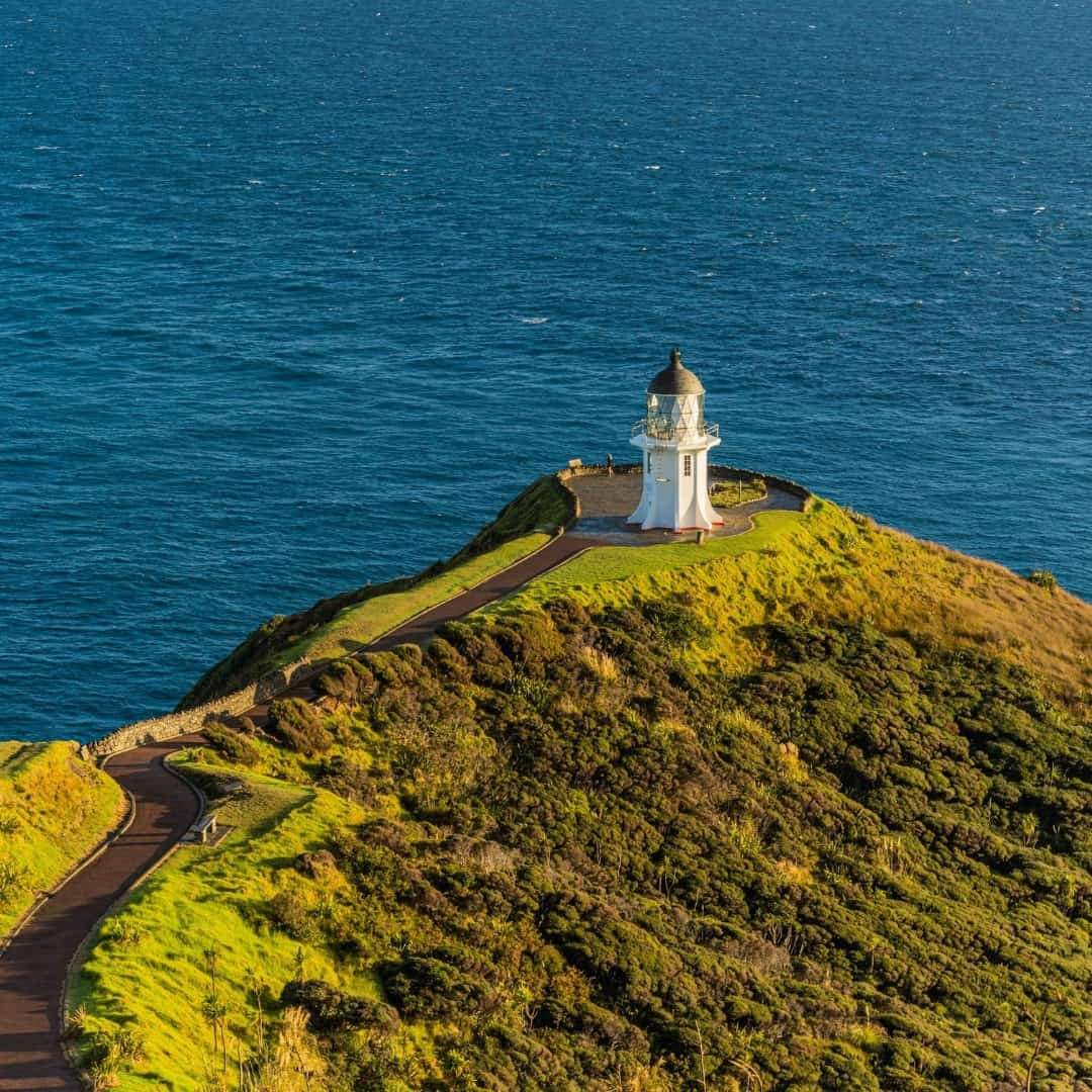 Spring in New Zealand Spring in New Zealand