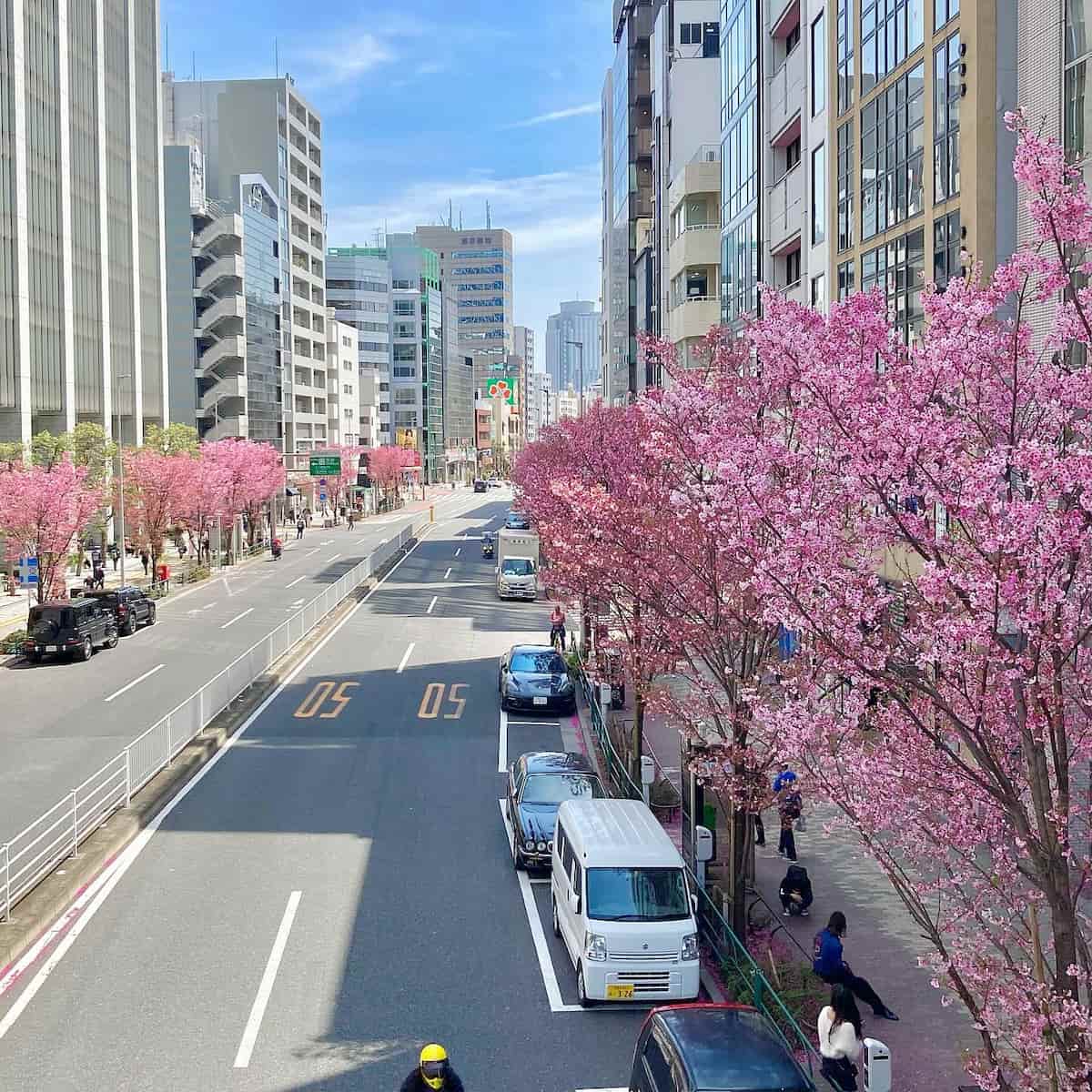 Spring in Tokyo Spring in Tokyo